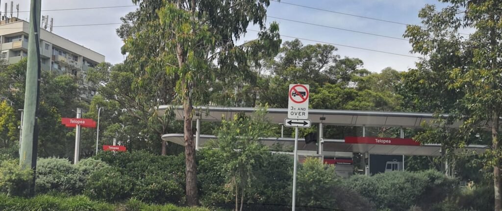 Telopea Light Rail Station in Sydney, located just a 2-minute walk from Aussie Math Tutor NSW, showing the modern platform signage and surrounding greenery.